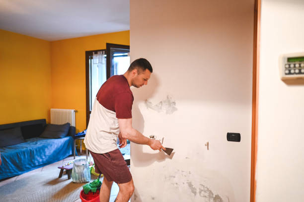 Best Mold Removal Near Me  in Rochelle, IL